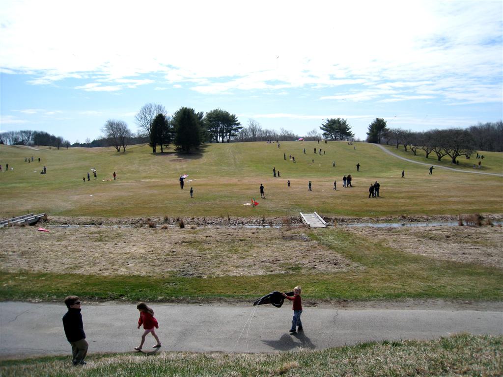 Families and Friends at Golf Course Flying Kites
